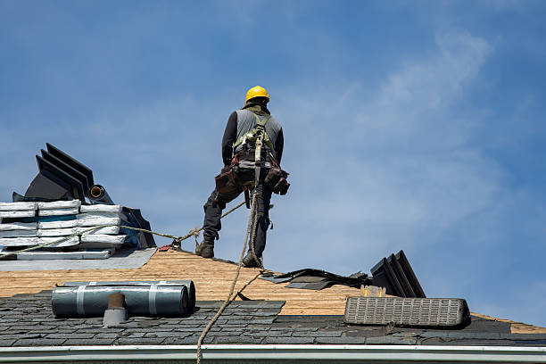 Professional Roof Replacement technician working in Loa, UT